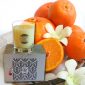 popular candle scents